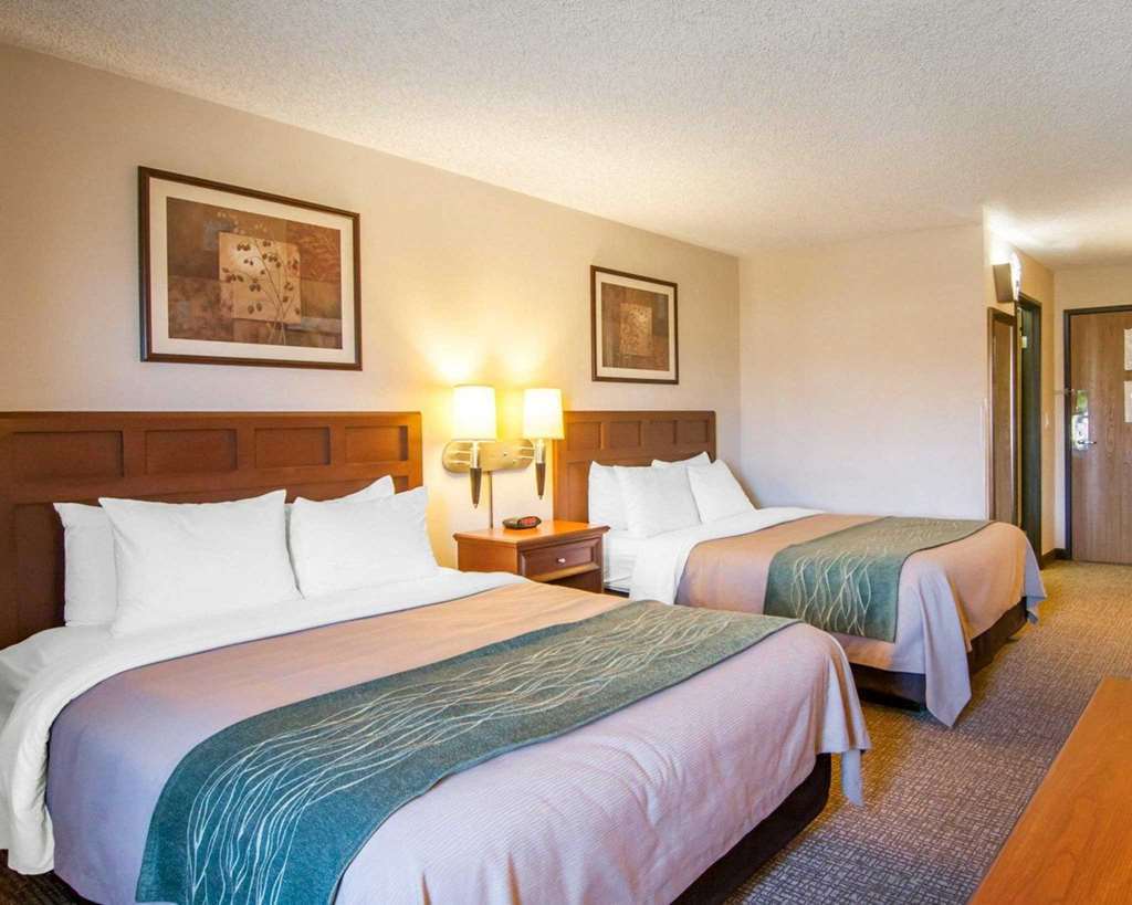 Comfort Inn Medford North Room photo